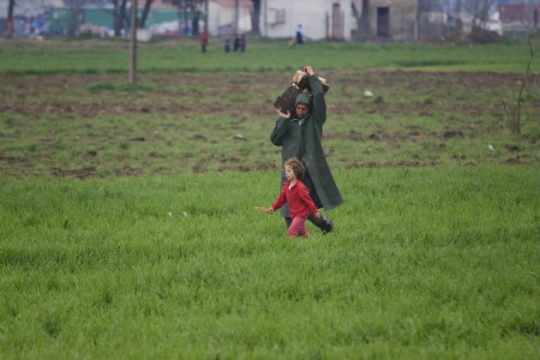 Ημερολόγιο δυστοπίας #1:Κόρμακ ΜακΚάρθι, Ο δρόμος