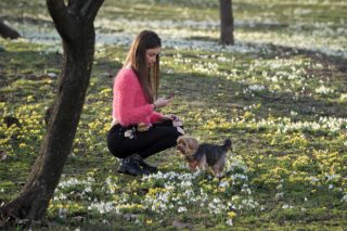 Το Αριστοτέλειο γιορτάζει την άνοιξη με περιβαλλοντικές εκδηλώσεις