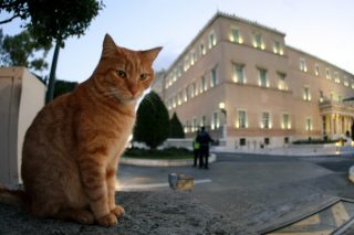 Αλλάζει… σενάρια ο εκδότης του ΔΟΛ