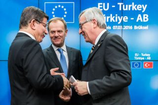 Ούτε γάτα, ούτε ζημιά!
