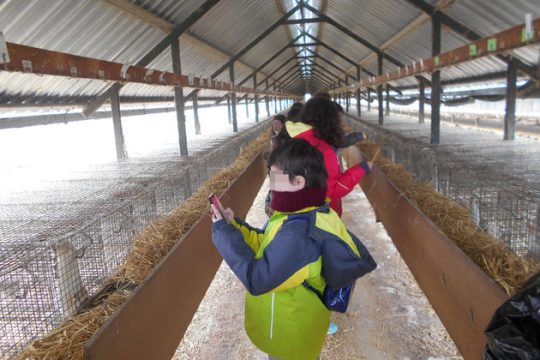 «Πόλεμος» κυνηγών και υπουργείου Παιδείας