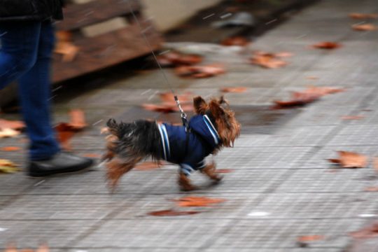 Αμετάβλητος καιρός σήμερα και αύριο