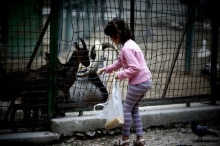 «Οτιδήποτε περιέχει βία είναι αντιπαιδαγωγικό»