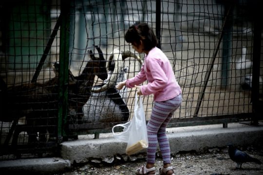 «Οτιδήποτε περιέχει βία είναι αντιπαιδαγωγικό»