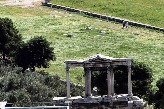 Ελιά και πεύκος