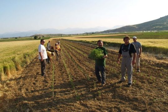 Νομοσχέδιο «σκούπα» για αγροτικούς συνεταιρισμούς