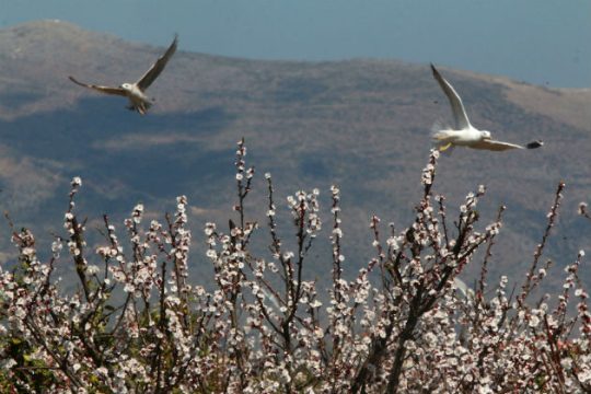 Ο καιρός το Σαββατοκύριακο