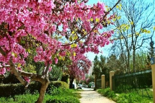 Χτύπα σαν άντρας…