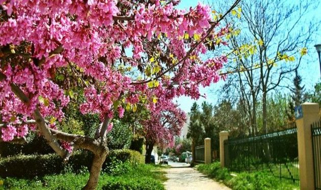 Χτύπα σαν άντρας…