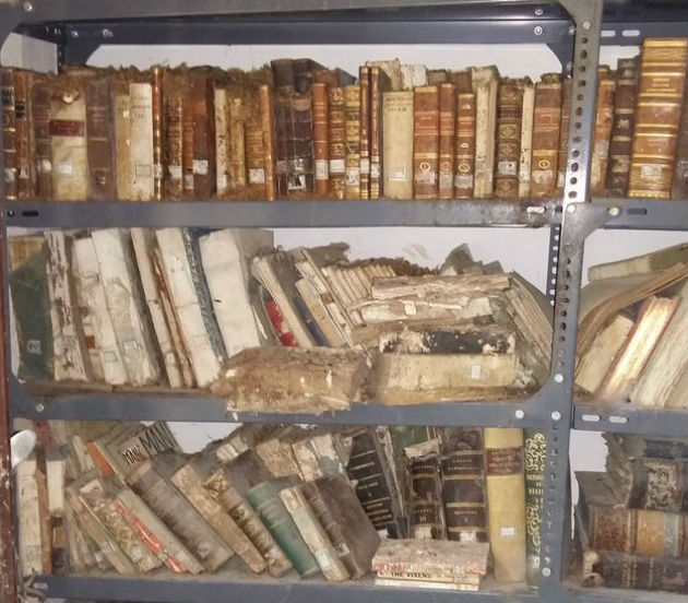 Πριγκιπικό αρχείο στο έλεος των ποντικών