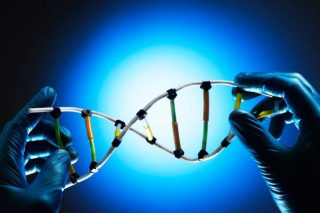 Θερμόμετρα από DNA για μετρήσεις σε νανοκλίμακα