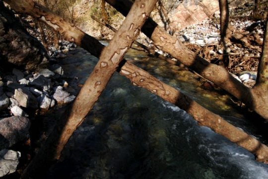 Ανοίγει σε όλο το μήκος του, το φαράγγι της Σαμαριάς