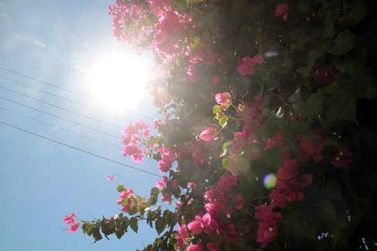 Σάββατο με καλό καιρό και ζέστη
