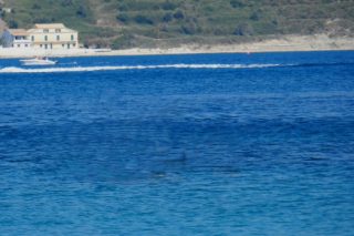 Ακόμα βρίσκουν χασίς στην Κέρκυρα