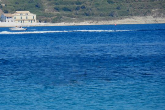 Ακόμα βρίσκουν χασίς στην Κέρκυρα