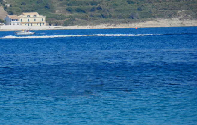 Ακόμα βρίσκουν χασίς στην Κέρκυρα