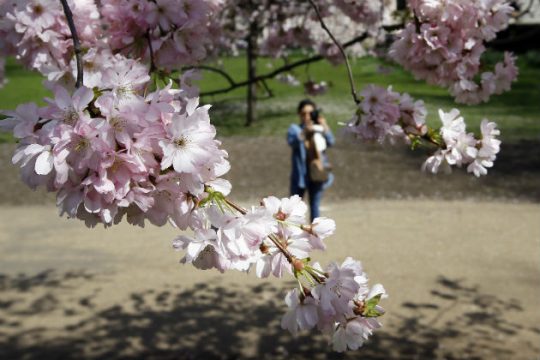 Καλός καιρός, μικρή πτώση της θερμοκρασίας