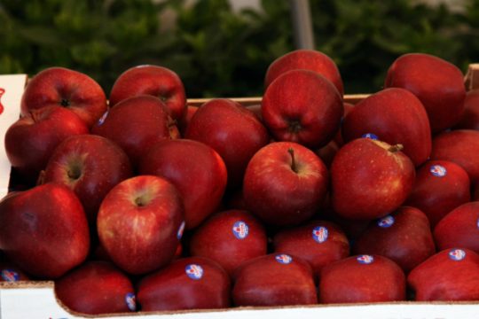 Ζαγορίν: φρούτα με ταυτότητα και λογότυπο