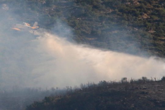 Πολλά στρέμματα δασικής έκτασης έκαψε η φωτιά στη Νεμέα