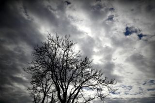 Μισός αιώνας παρά ένα χρόνο