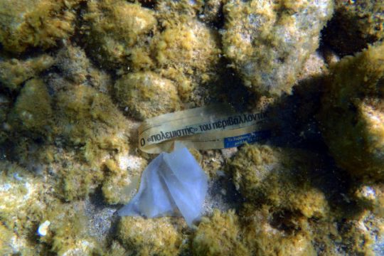 Δραματικές οι συνέπειες από τη χρήση πλαστικής σακούλας