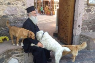 Αξιος ιερωμένος φροντίζει τα αδεσποτάκια