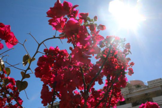 Καιρός: Αίθριος στις περισσότερες περιοχές της χώρας – Πού θα χτυπήσει 30άρια