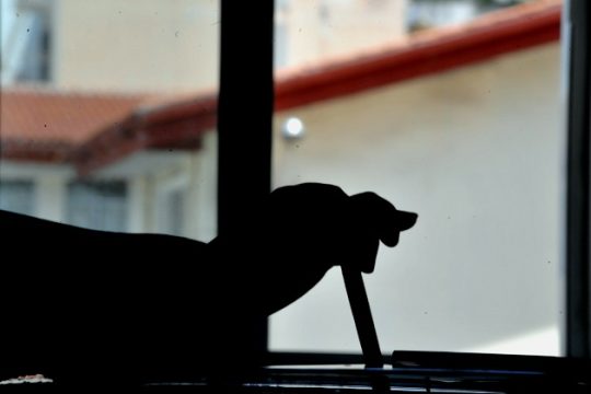 Πολυκομματική Βουλή στην Κύπρο δείχνουν οι δημοσκοπήσεις