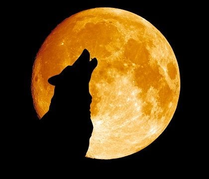 Ο καλός και ο κακός λύκος (μας)