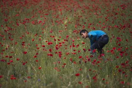 «Σε άλλη χώρα, όχι σε άλλον καταυλισμό»