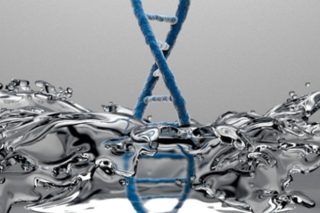 RNA: το πρώτο αυτοαντιγραφικό μόριο