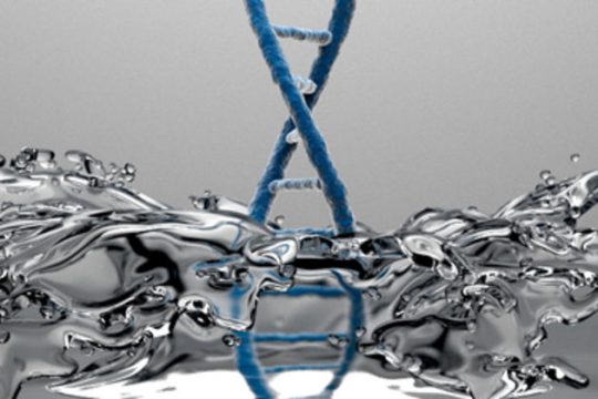 RNA: το πρώτο αυτοαντιγραφικό μόριο