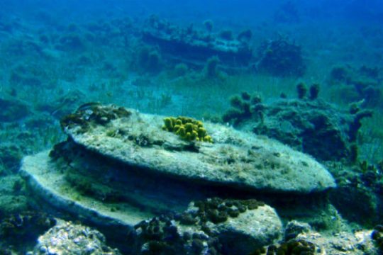 Από μικρόβια η βυθισμένη «πόλη» στον Αλικανά Ζακύνθου