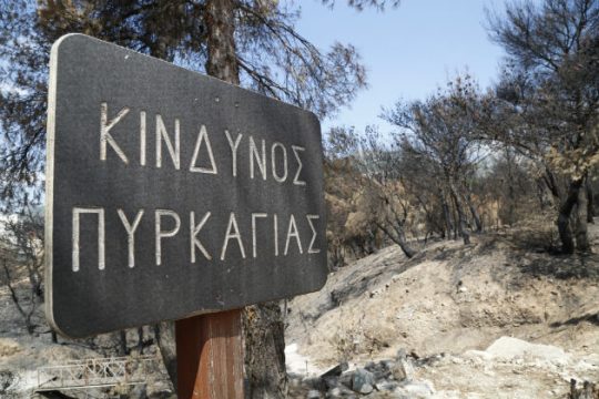Η υποχρηματοδότηση απειλεί τα δάση