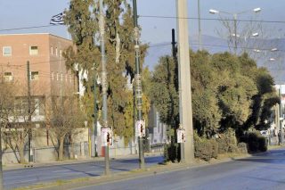 Μόνο μικρά ψάρια έπιασε ο κοριός