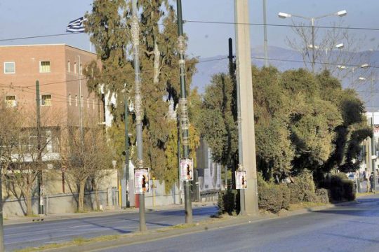 Μόνο μικρά ψάρια έπιασε ο κοριός