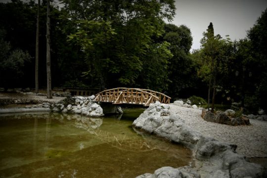 Παγκόσμια Ημέρα Περιβάλλοντος με το WWF στον Εθνικό Κήπο