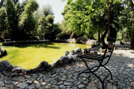 Γιορτή η Παγκόσμια Ημέρα Περιβάλλοντος
