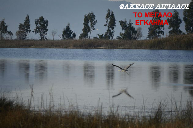 Η άνιση μάχη για τη σωτηρία γης και ακτών