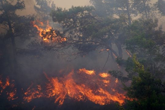 Τρεις νέες πυρκαγιές, σε Εύβοια, Μαρούσι και Ολυμπία