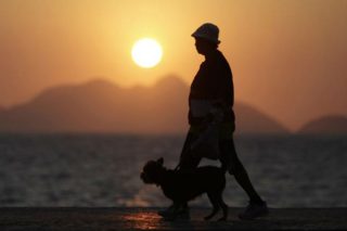 Ανθρωπόμορφος ήλιος ζυμώσεων