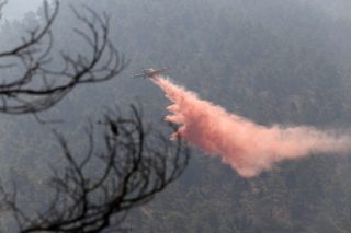 Η καταστροφή στο επίκεντρο της συνάντησης Σουλτς-Κυπριανού