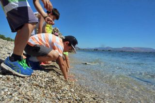 «Καθαρίστε τη Μεσόγειο» με τη συνδρομή 50 προσφυγόπουλων