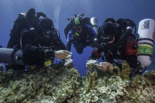 Γερή «ψαριά» στο Ναυάγιο των Αντικυθήρων
