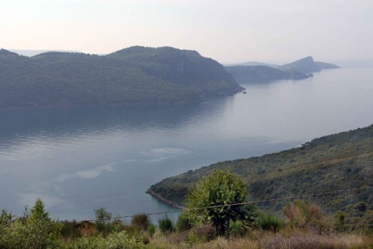 Πέθαναν ενώ κολυμπούσαν