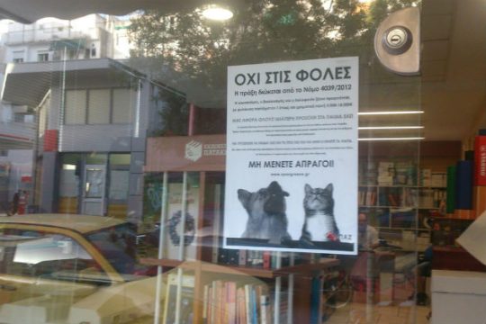 24 γάτες νεκρές από φόλες σε Παγκράτι και Άγιο Αρτέμιο