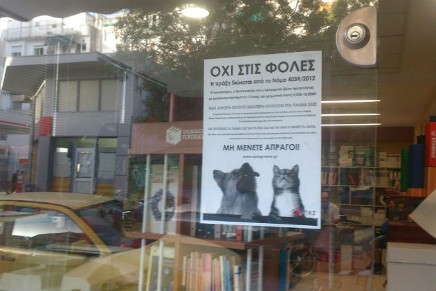 24 γάτες νεκρές από φόλες σε Παγκράτι και Άγιο Αρτέμιο