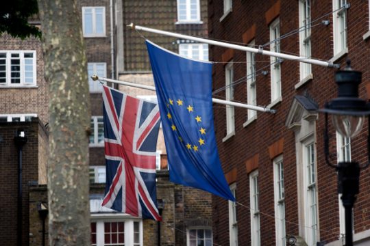 Οι δελφίνοι και το Brexit