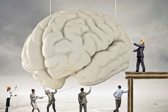 Όταν η επιστημονική γνώση του εγκεφάλου μετατρέπεται σε ιδεολογία