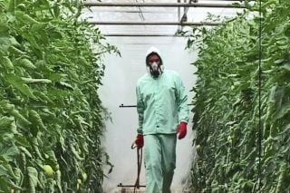 Επικίνδυνα φυτοφάρμακα σε χέρια ανυποψίαστων καταναλωτών!